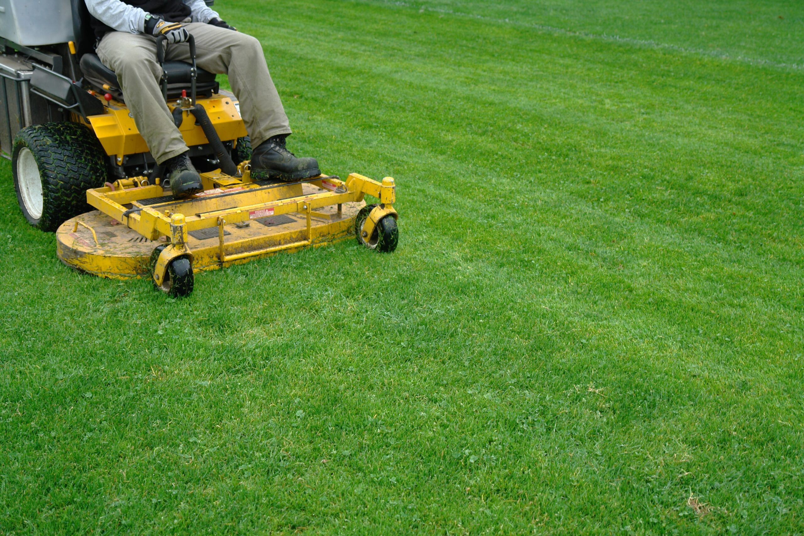 cypress-mowing